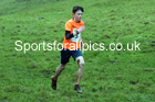 Boys under-13s, NECAA Junior Cross Country Relays, Thornley Farm, Peterlee, Saturday, December 12th. Photo: David T. Hewitson/Sports for All Pics
